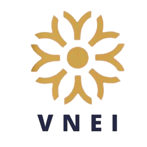 Vietnam Education Intelligence